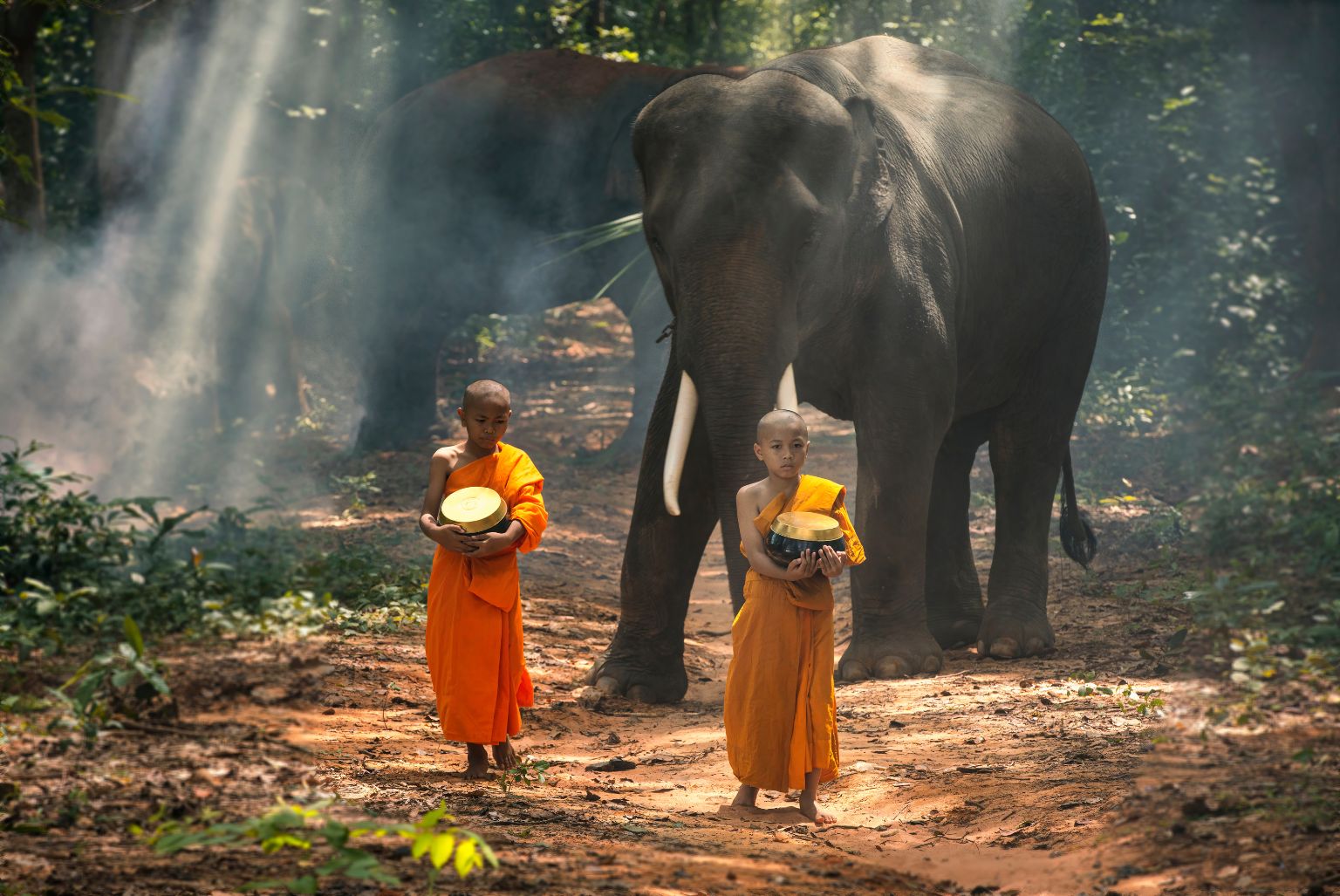 Two young boy buddhist monks walking in a forest with a huge elephant following after them