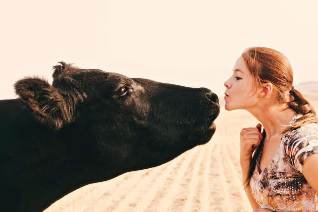 young woman kissing a black angus cow - debibishop - Getty Images Signature