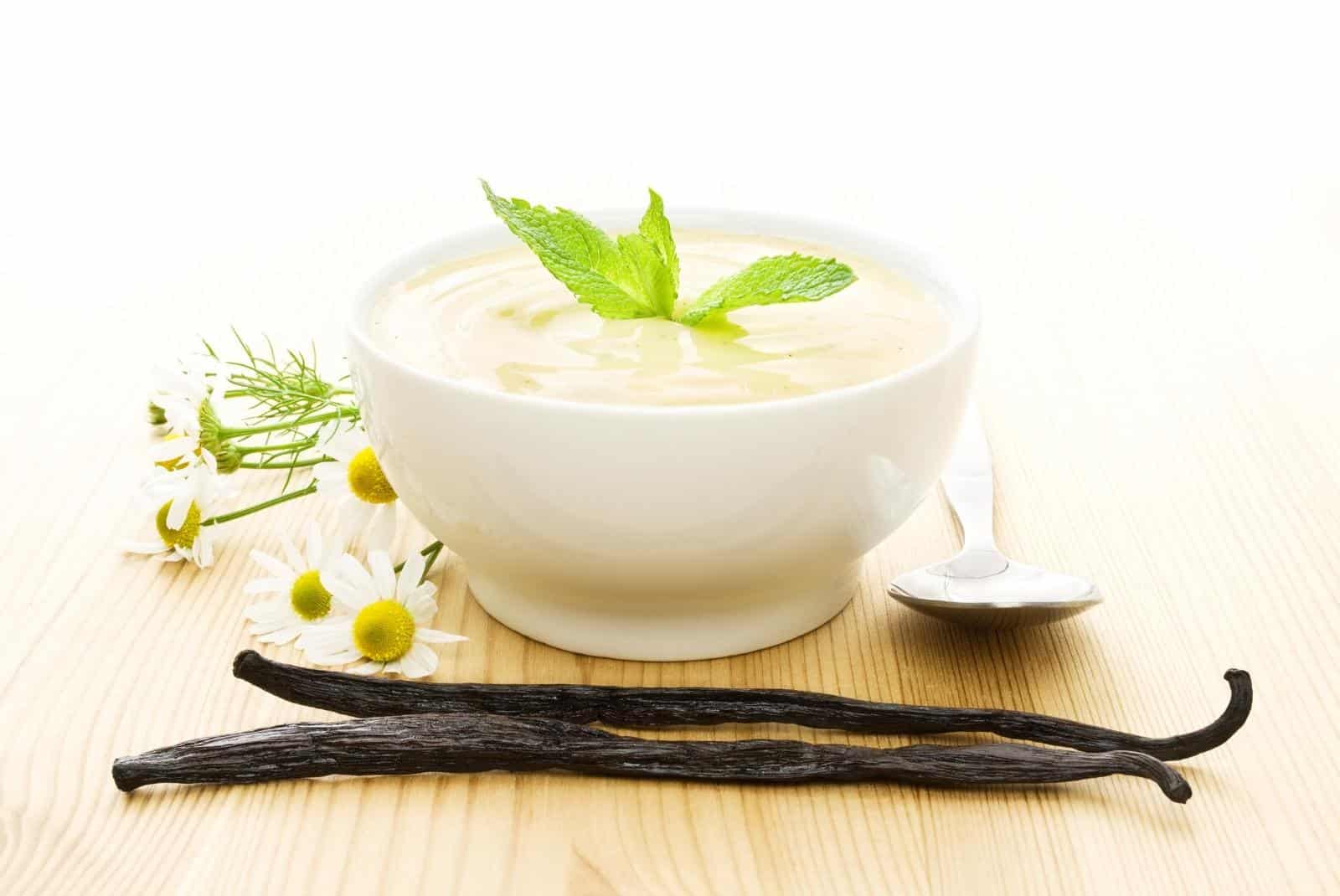 How to Make a ProbioticRich Vegan Vanilla Yogurt with Homemade Cashew