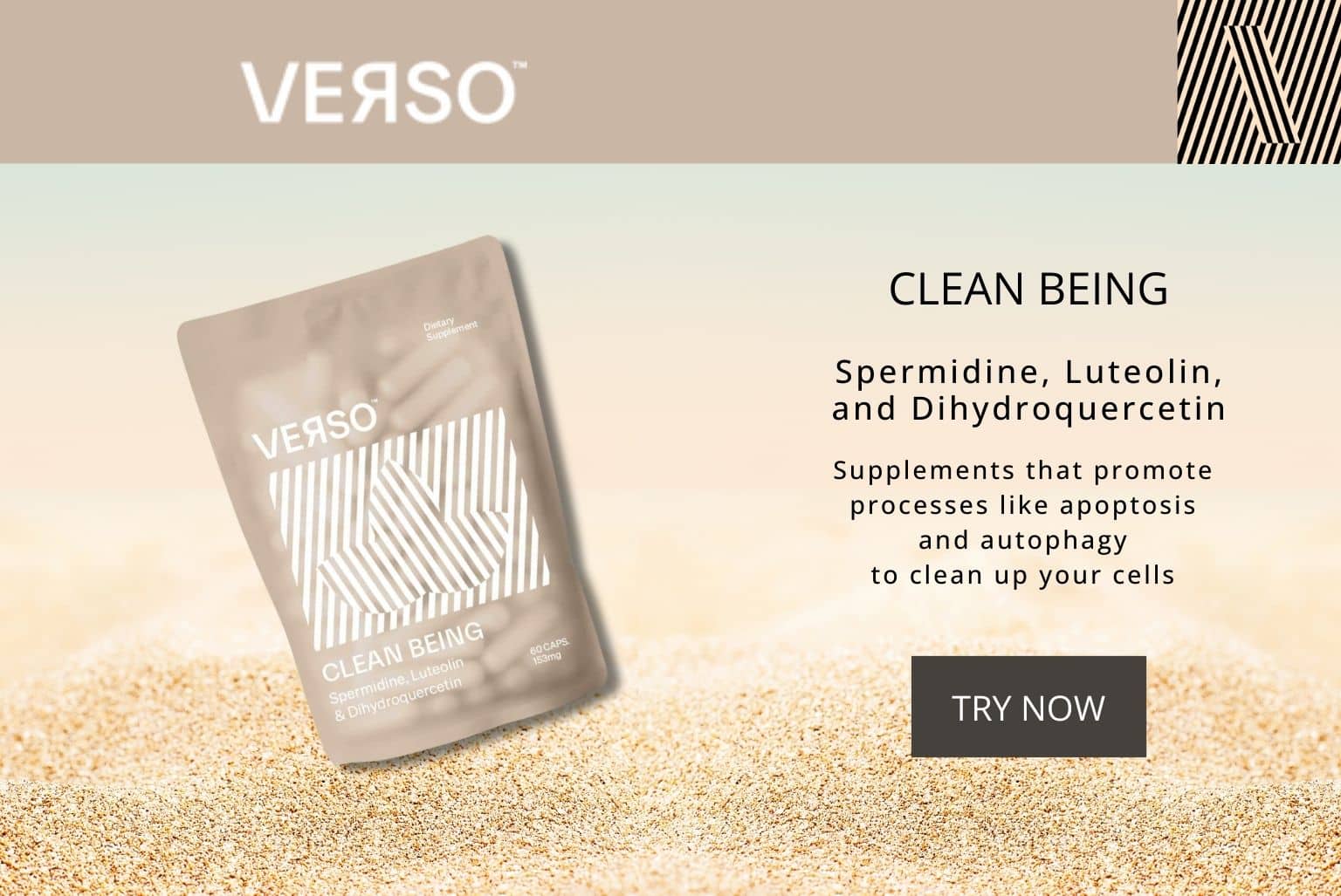 Verso Clean Being supplements promote processes like apoptosis and autophagy to clean up your cells.