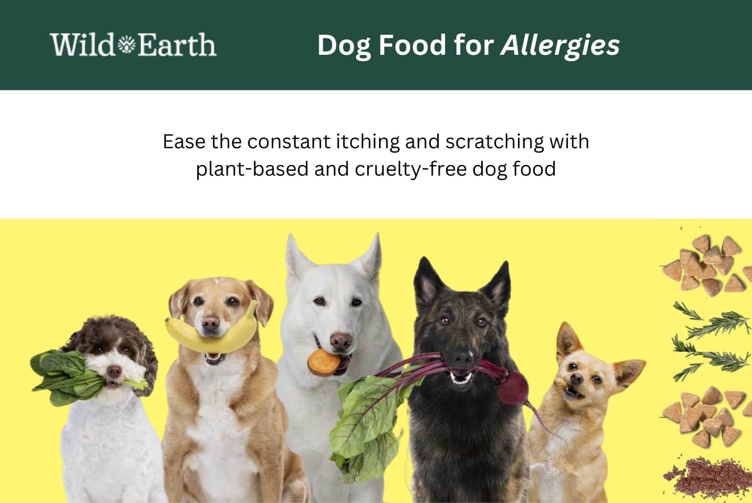 Click here to get Wild Earth plant-based food and supplements for your dog