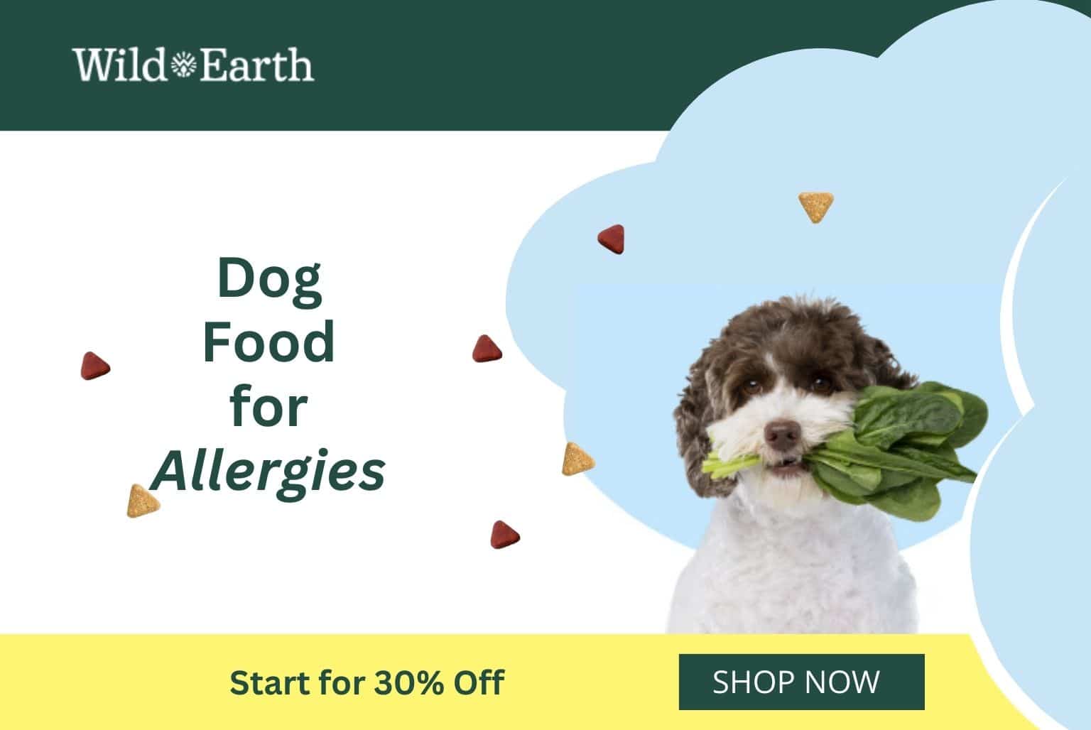 Click here to get Wild Earth plant-based food and supplements for your dog