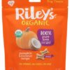 Riley's Organic Small Dog Treats Pumpkin & Coconut 5 oz